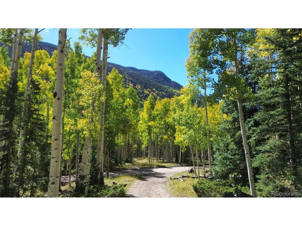 613 Alamosa Avenue Jasper, CO 81140