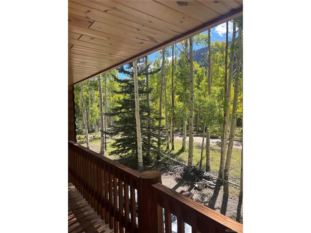 613 Alamosa Avenue Jasper, CO 81140