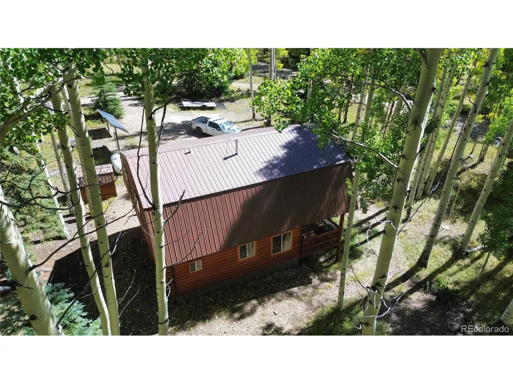 613 Alamosa Avenue Jasper, CO 81140