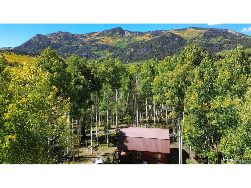 613 Alamosa Avenue Jasper, CO 81140