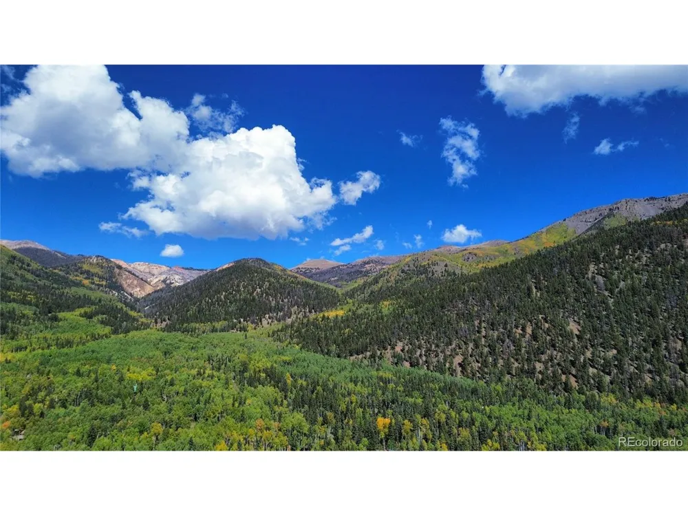 613 Alamosa Avenue Jasper, CO 81140