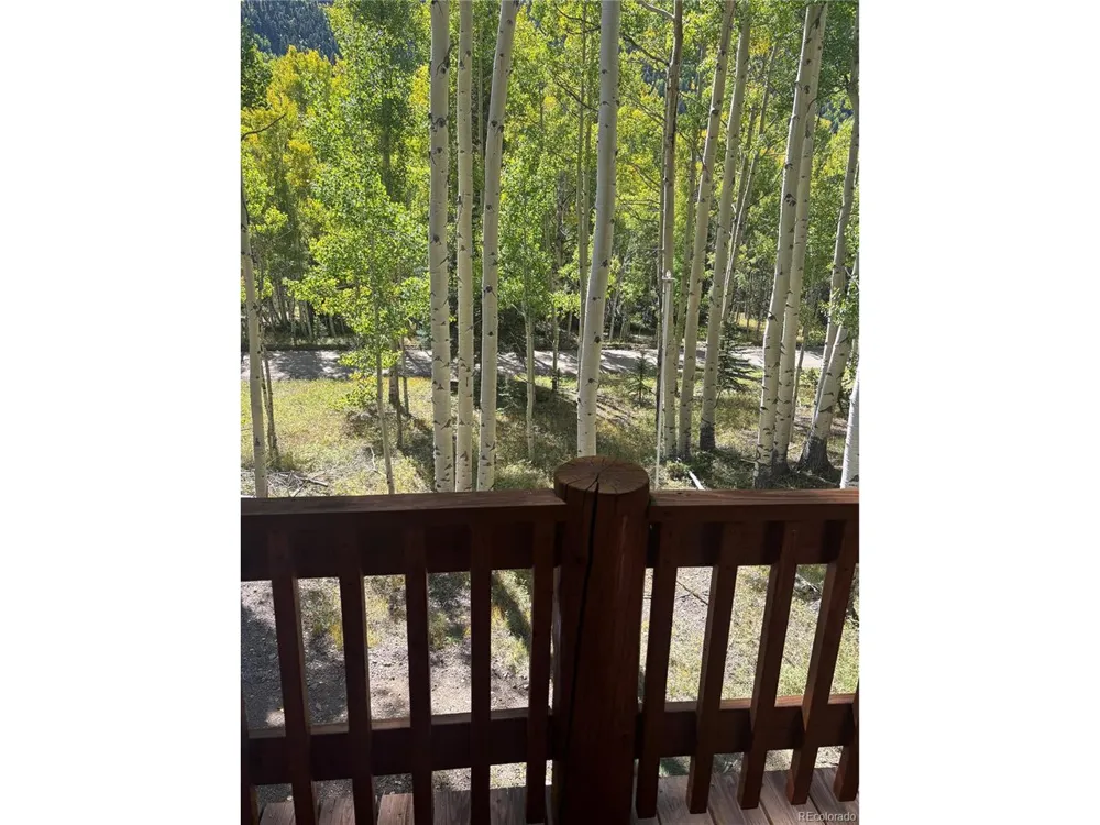 613 Alamosa Avenue Jasper, CO 81140