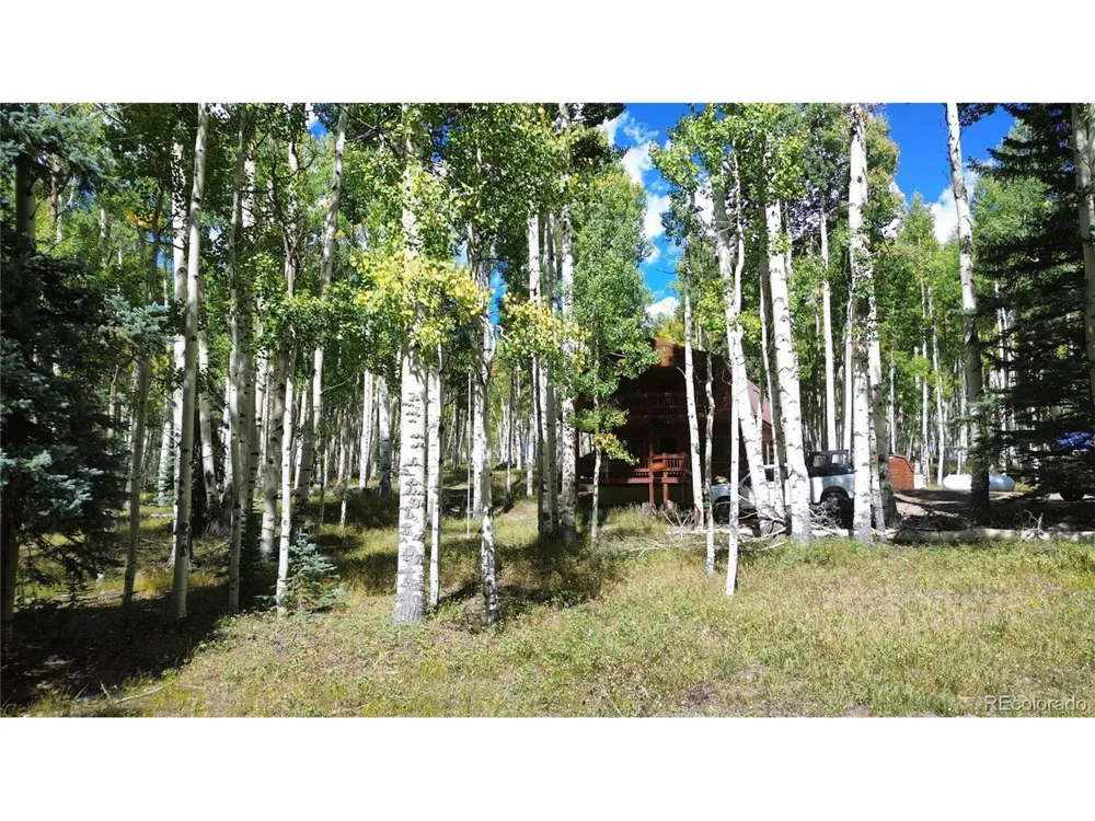 613 Alamosa Avenue Jasper, CO 81140