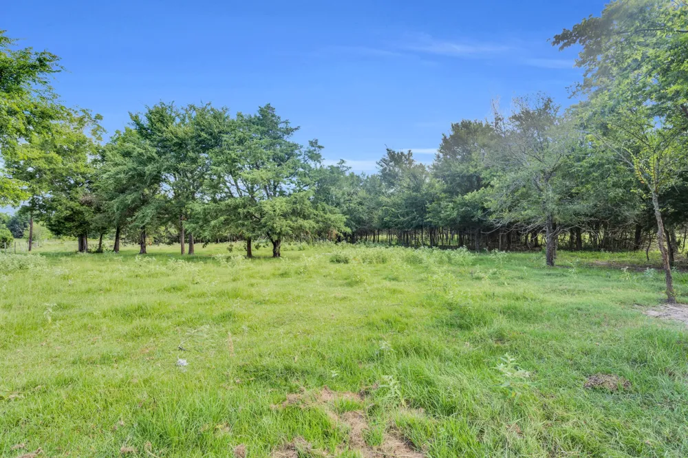 379 FM 80 S Teague, TX 75860