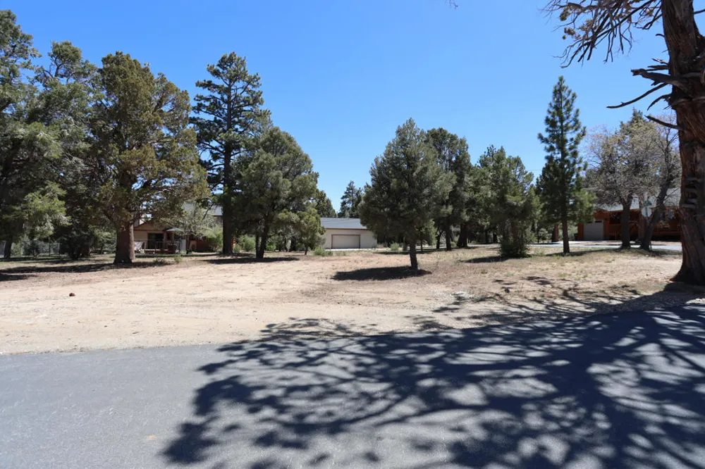 Dixie Lee Sugarloaf, CA 92386