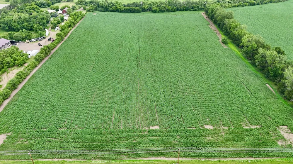 TBD 32nd Street SE Saint Cloud, MN 56304