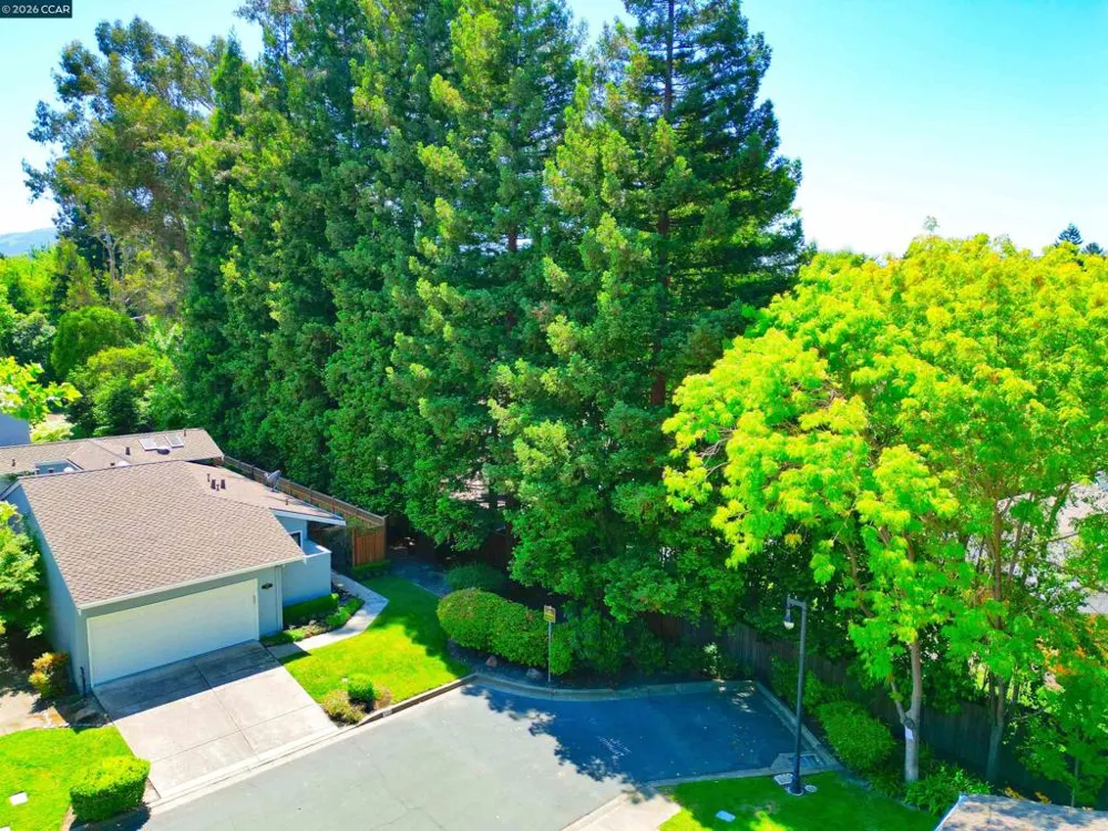 131 Shoshone Court Danville, CA 94526