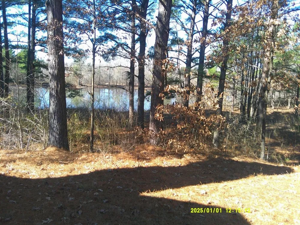 3726 County Road 4284 Simms, TX 75574