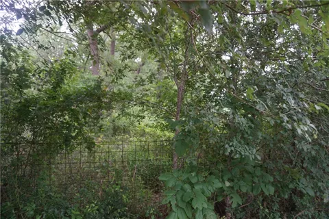 Berry Creek Drive