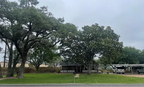 3393 State Highway 111 E
