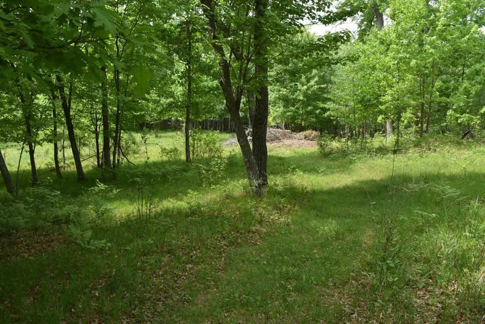 28755 Spotted Fawn Drive Danbury, WI 54830