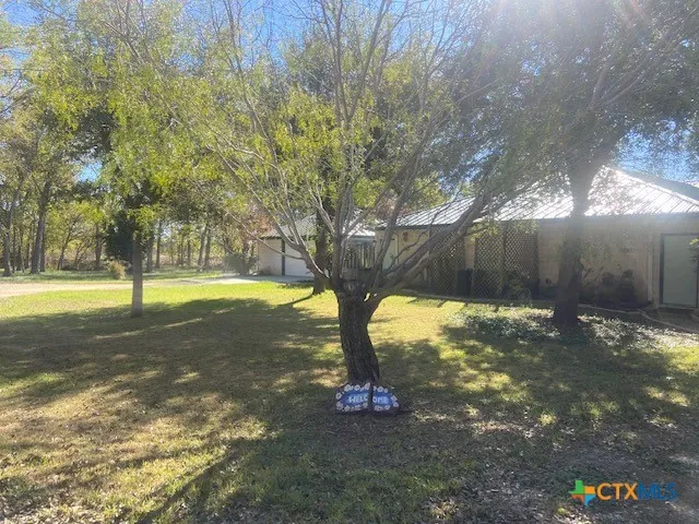 Buffalo Gap Seguin, TX 78155