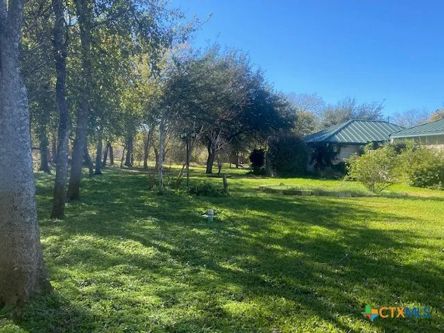 Buffalo Gap Seguin, TX 78155