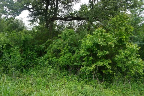 Creek Side Cir