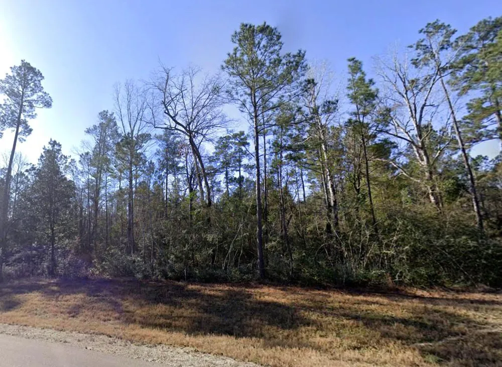 152 Exploration Road New Waverly, TX 77358