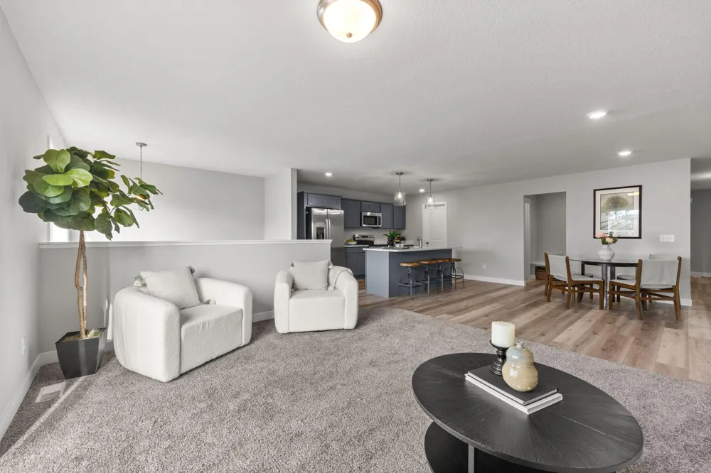 316 Distel Drive Le Sueur, MN 56058
