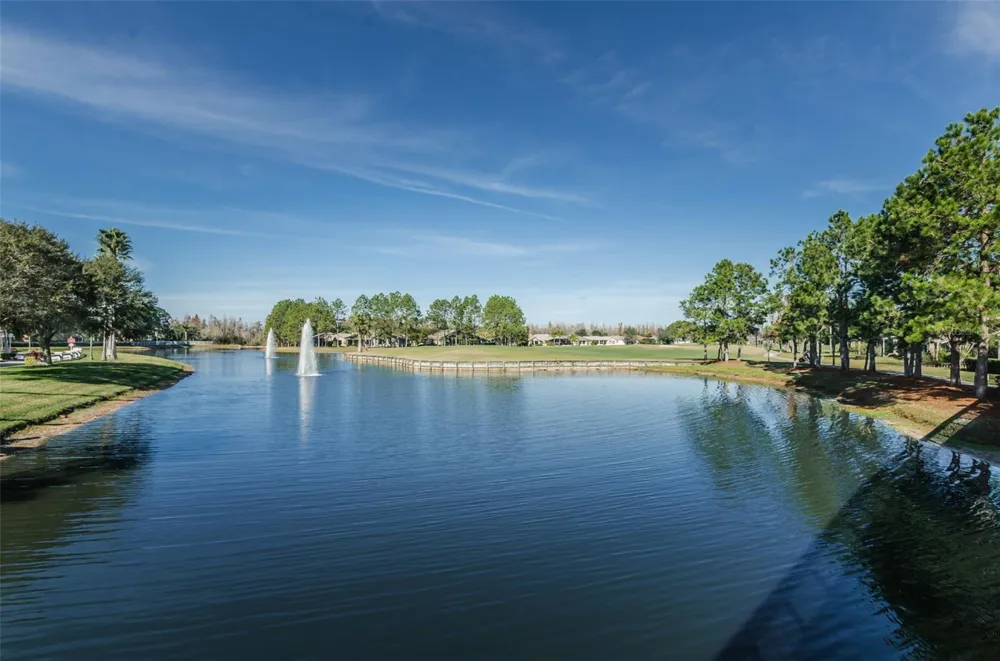 1300 FALLOWFIELD DRIVE Trinity, FL 34655