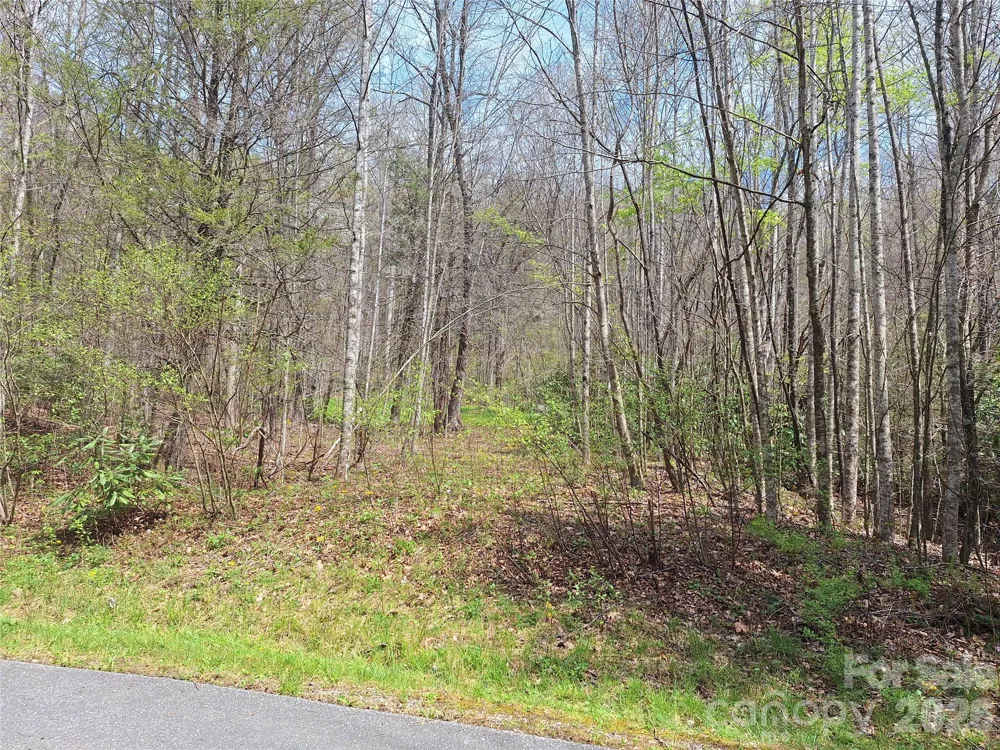 946 Lake Road Old Fort, NC 28762