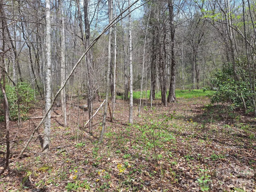 946 Lake Road Old Fort, NC 28762