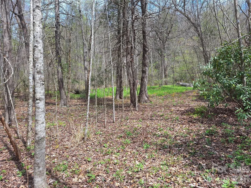 946 Lake Road Old Fort, NC 28762