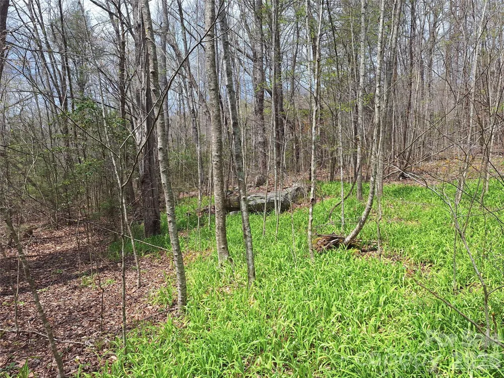 946 Lake Road Old Fort, NC 28762