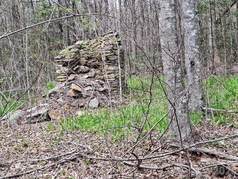 946 Lake Road Old Fort, NC 28762