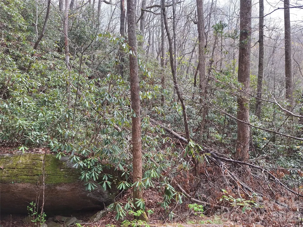 946 Lake Road Old Fort, NC 28762