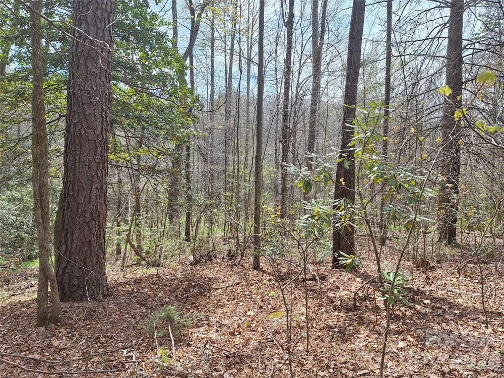 946 Lake Road Old Fort, NC 28762
