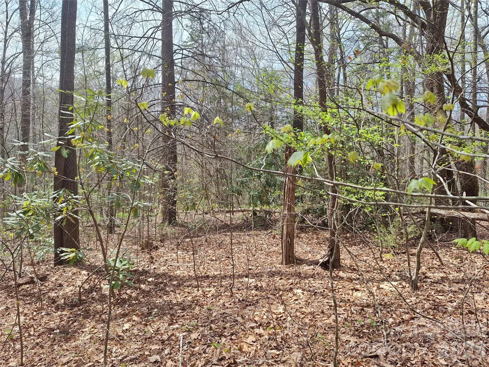 946 Lake Road Old Fort, NC 28762