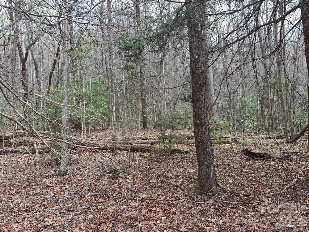 946 Lake Road Old Fort, NC 28762