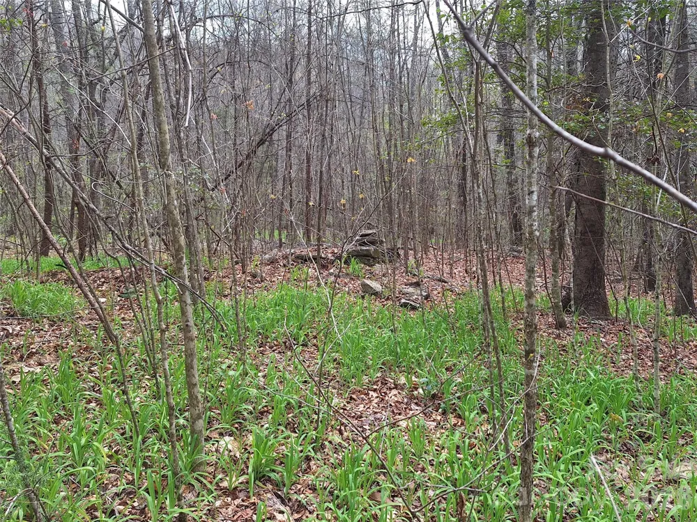 946 Lake Road Old Fort, NC 28762