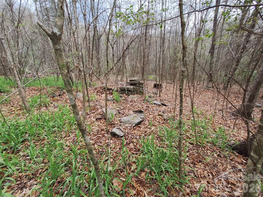946 Lake Road Old Fort, NC 28762