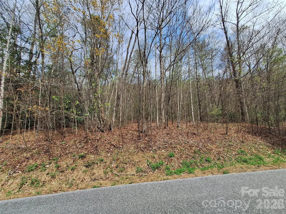 946 Lake Road Old Fort, NC 28762