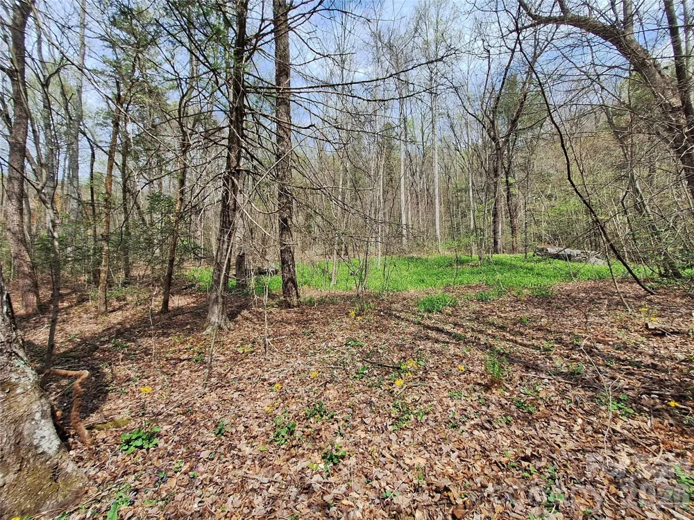 946 Lake Road Old Fort, NC 28762