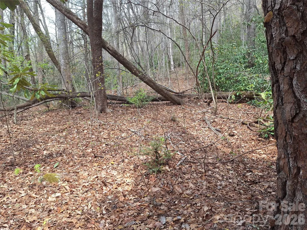 946 Lake Road Old Fort, NC 28762