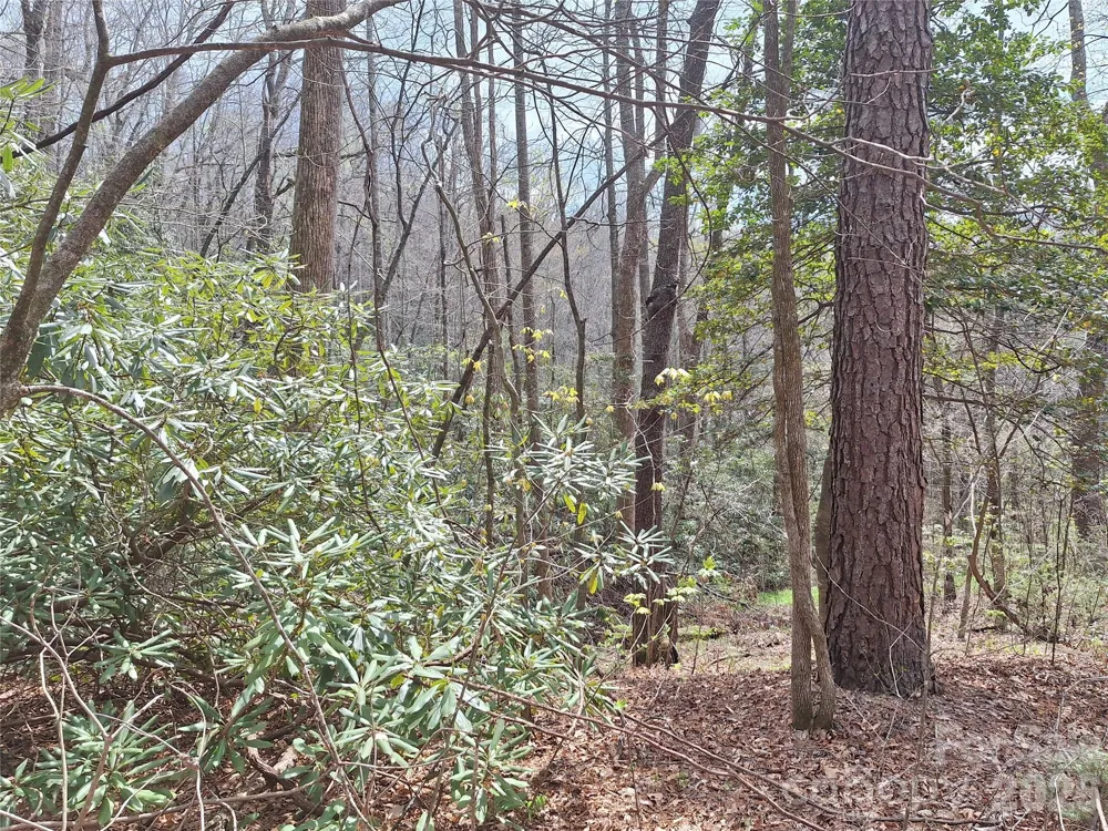 946 Lake Road Old Fort, NC 28762