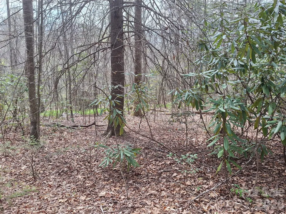 946 Lake Road Old Fort, NC 28762