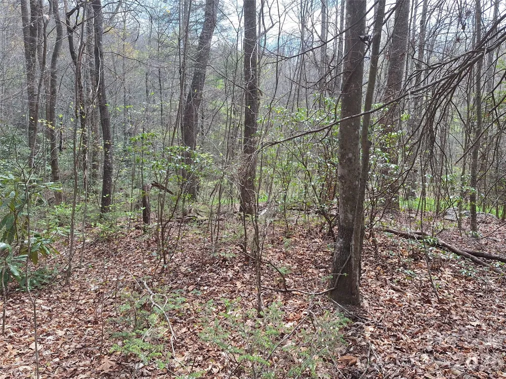 946 Lake Road Old Fort, NC 28762