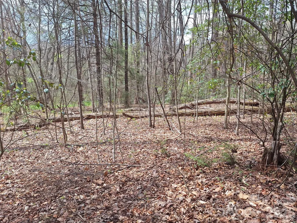 946 Lake Road Old Fort, NC 28762