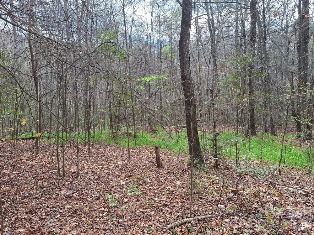 946 Lake Road Old Fort, NC 28762