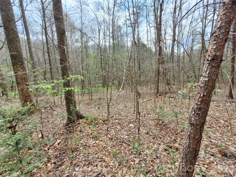946 Lake Road Old Fort, NC 28762