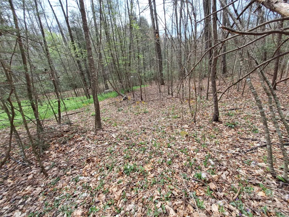 946 Lake Road Old Fort, NC 28762