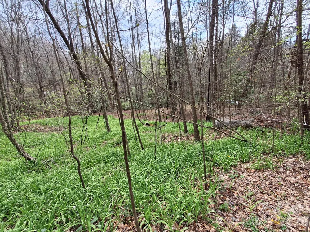 946 Lake Road Old Fort, NC 28762