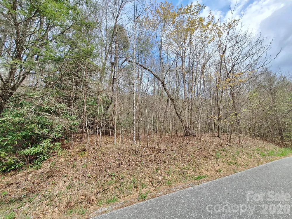946 Lake Road Old Fort, NC 28762