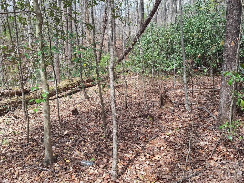 946 Lake Road Old Fort, NC 28762