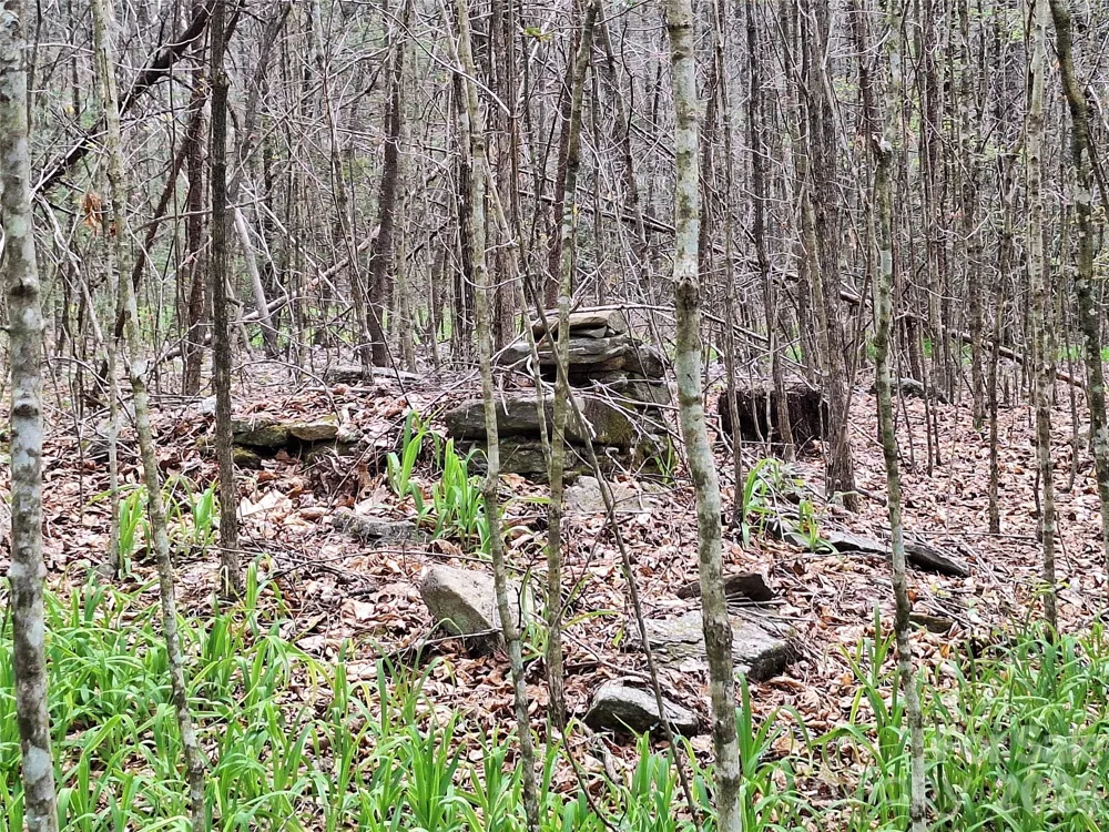 946 Lake Road Old Fort, NC 28762