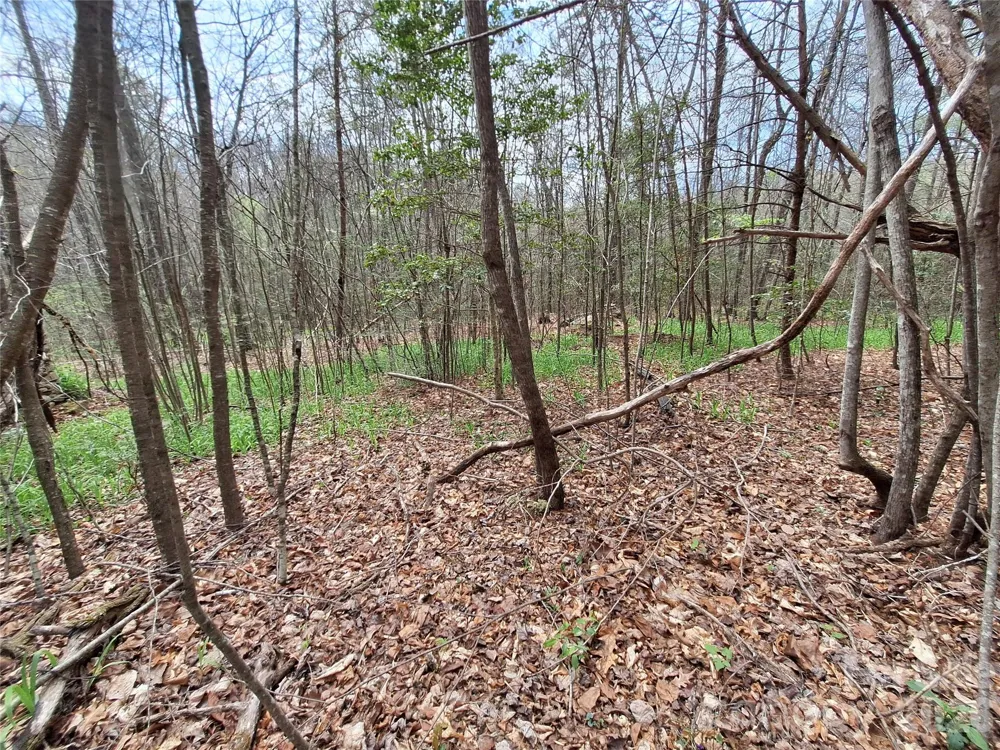 946 Lake Road Old Fort, NC 28762