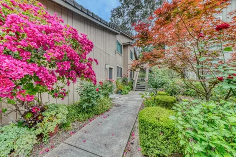 195 Del Monte Lane