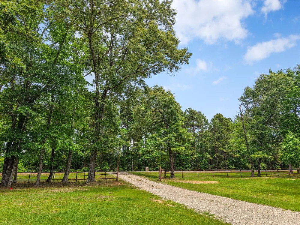 2976 CR 217 E Henderson, TX 75652