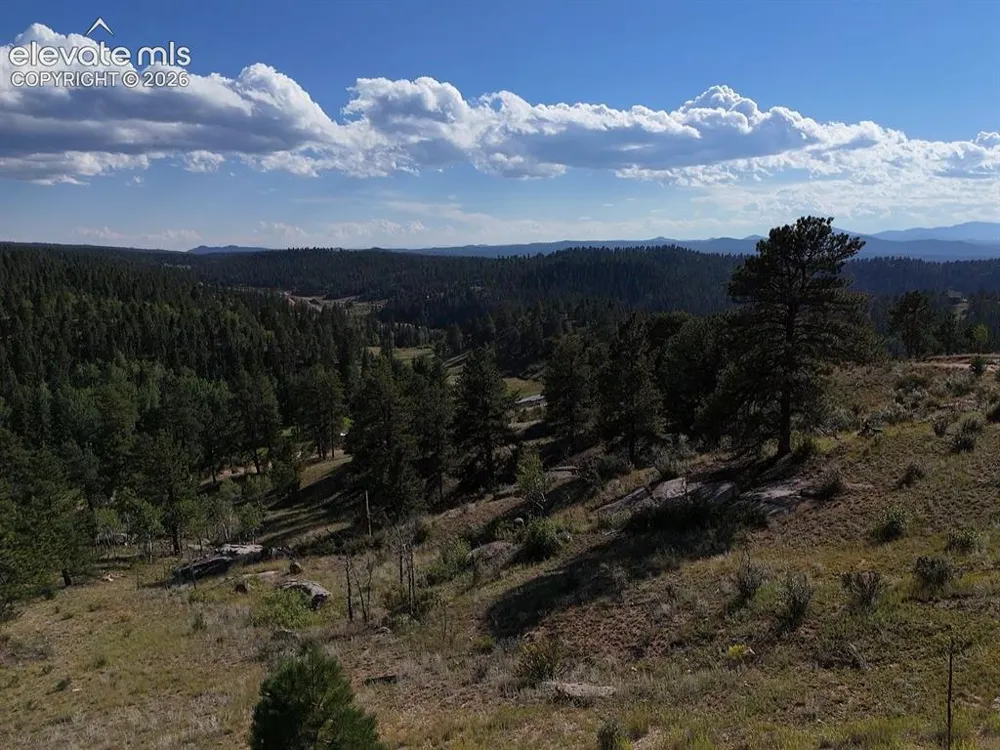 4687 W Highway 24 Florissant, CO 80816